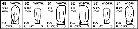FullForm E1