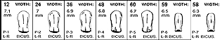 FullForm P