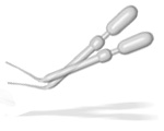 Pipettes